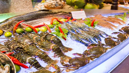 Luna Halong Dinner Cruise- Ăn Tối - Ảnh 8